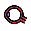 globo ocular icon