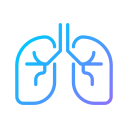 pulmones 