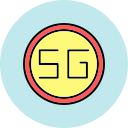 5g icon