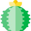 cactus barril azul icon