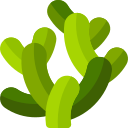 cactus garambullo icon