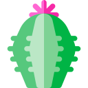 cactus icon