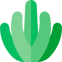 cactus icon