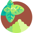 albahaca icon