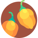 habanero icon