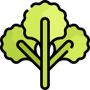 cilantro icon