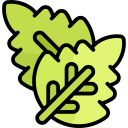 menta icon