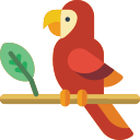 loro icon