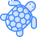 tortuga icon