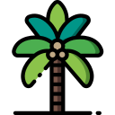 palmera