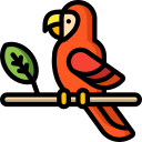 loro icon