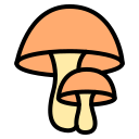 champiñón icon