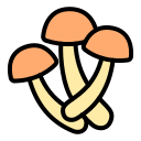 champiñón icon