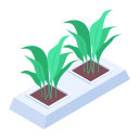 plantas icon