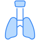 pulmones icon