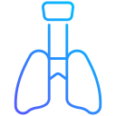 pulmones icon