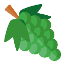 pomelo icon