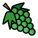 pomelo icon