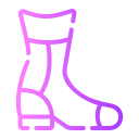 botas icon