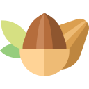 almendras icon