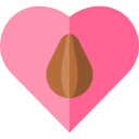 corazón