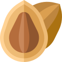 almendra icon