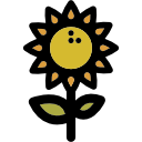 girasol icon