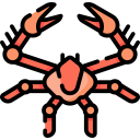 partenopidae icon