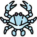 cangrejo azul icon