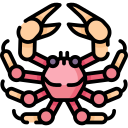 cangrejo araña icon