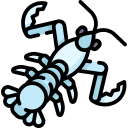 camarón mantis icon