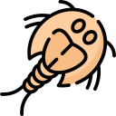 camarones renacuajo icon