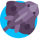 pez raya icon