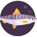 sardina icon