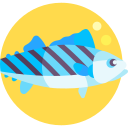 pez bonito icon