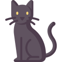 gato negro icon