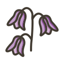 campanilla