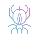 araña icon