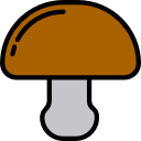 seta icon