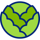 repollo icon