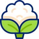 coliflor icon