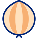 cebolla icon