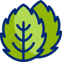 menta icon