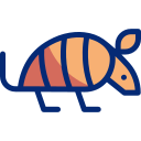 armadillo icon