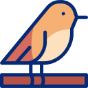 pájaro icon