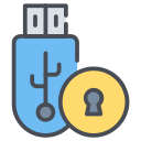 usb seguro icon