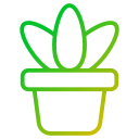 aloe vera icon