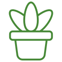 aloe vera icon