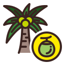 palmera