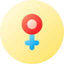 femenino icon